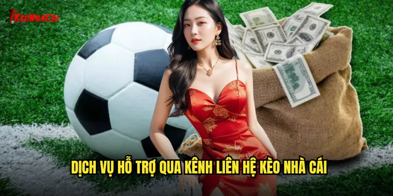Dịch vụ hỗ trợ qua kênh liên hệ kèo nhà cái